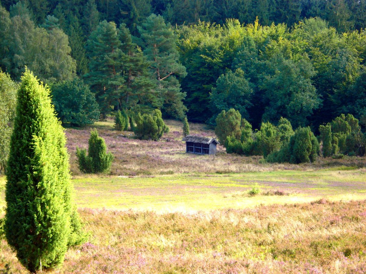Landgasthaus Zum Naturschutzpark Bispingen Exteriér fotografie