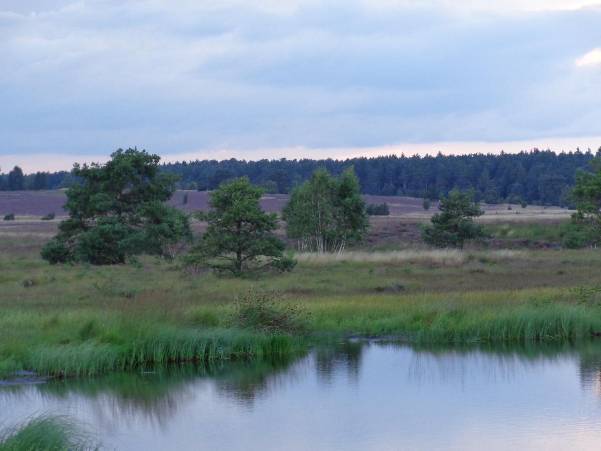 Landgasthaus Zum Naturschutzpark Bispingen Exteriér fotografie